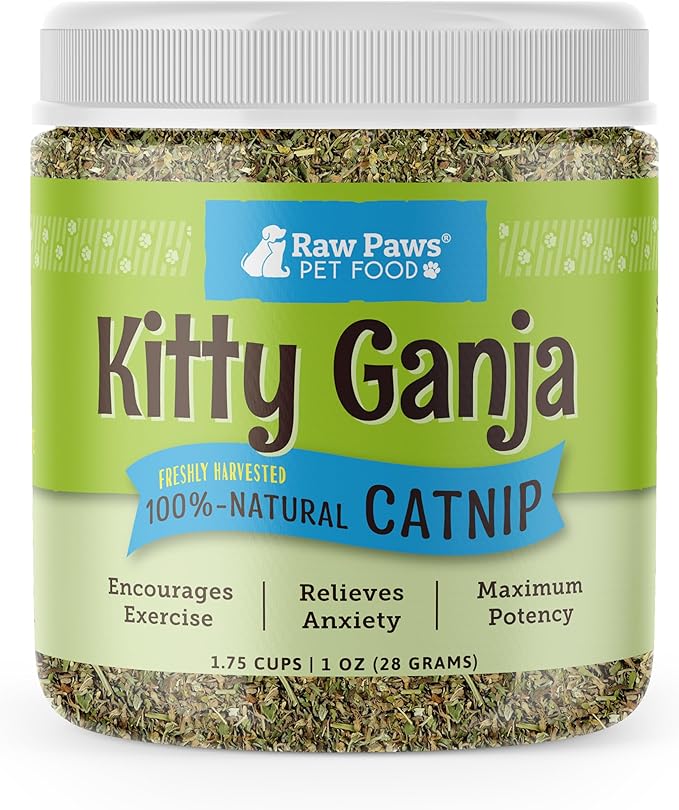 Raw Paws Fresh Catnip for Cats, 1-oz (2 Cups) - Use for Refillable Catnip Toys for Cats - Natural Dried Cat Nip