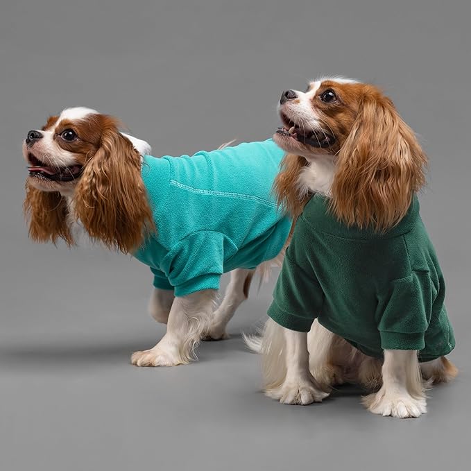Fitwarm 3 Pack Fleece Sweater, Turtleneck Sweatshirt, Winter Clothes for Small Dogs & Cats, Pet Pullover Jumper, Cat Apparel, Dark Green, Teal Green, Olive Green, XS