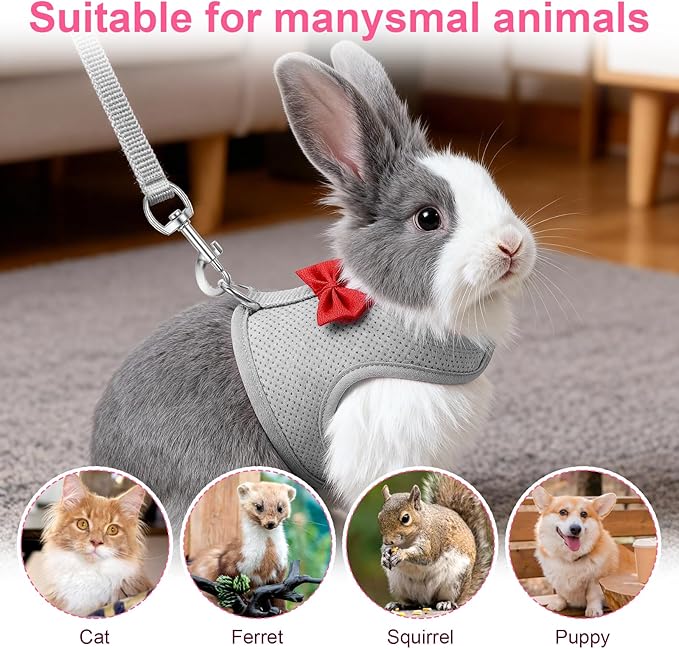 Breathable Soft Mesh Vest Harness & Leash Set for Rabbits, Bunny, Kitten, Ferret, Small Pig, Puppy, Small Pets – Gray, Medium