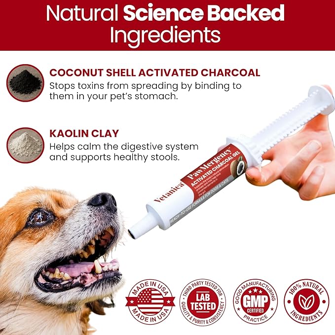 PawMergency – Activated Charcoal First Aid Kit Emergency Rescue 5 Pack for Dogs, Cats, Puppy & Pet Poison Kit, Camping Survival Remedy Essential, Oral Anti Diarrhea Digestive Absorb Toxins