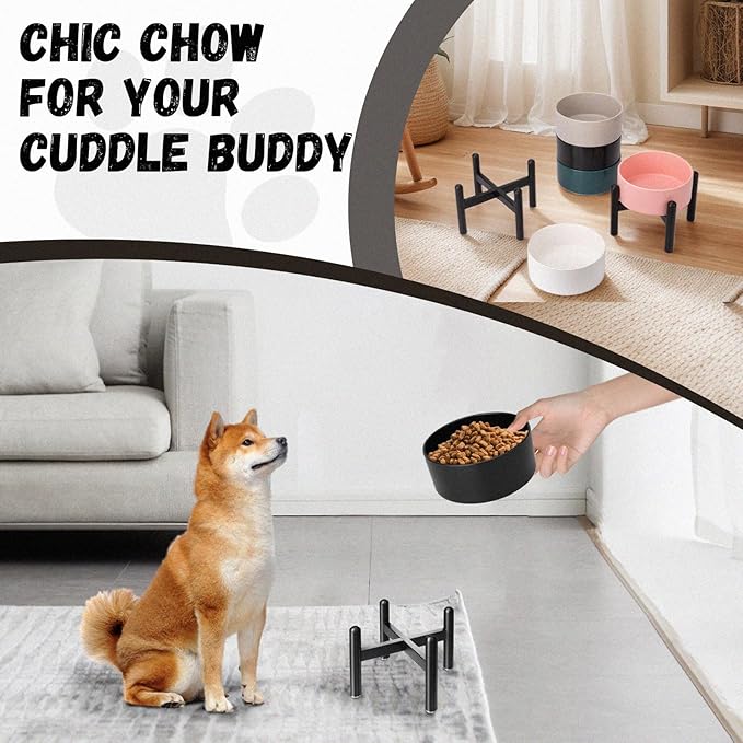 Raised Ceramic Dog Bowl - Elevated Food Water Dish with Stainless Steel Stand - for Small to Medium Dogs - 6 Inch - 2 Cups (28.75 fl oz) - Green