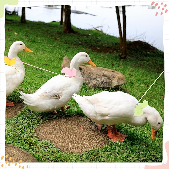 SATINIOR 3 Pack Harness and Leash for Pet Ducks, Real Duck Collar and Leash Soft and Adjustable Harness Training Traction Rope Collar for Young Adult Pet Goose Chicken Hen (Pink Green Yellow,S)