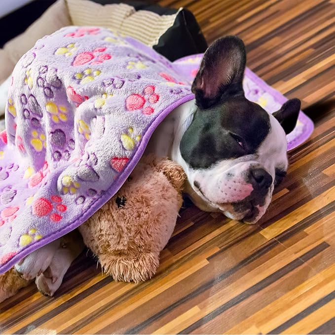Tatuo 4 Pack Fleece Dog Blankets for Puppy Cats Multi-Size Sleep Mat for Pet Guinea Pig Soft Washable Warm Crate Bed Puppy Teething Toys Print Pattern Blanket Indoor(Purple,30 x 20.5 Inch,Paw)