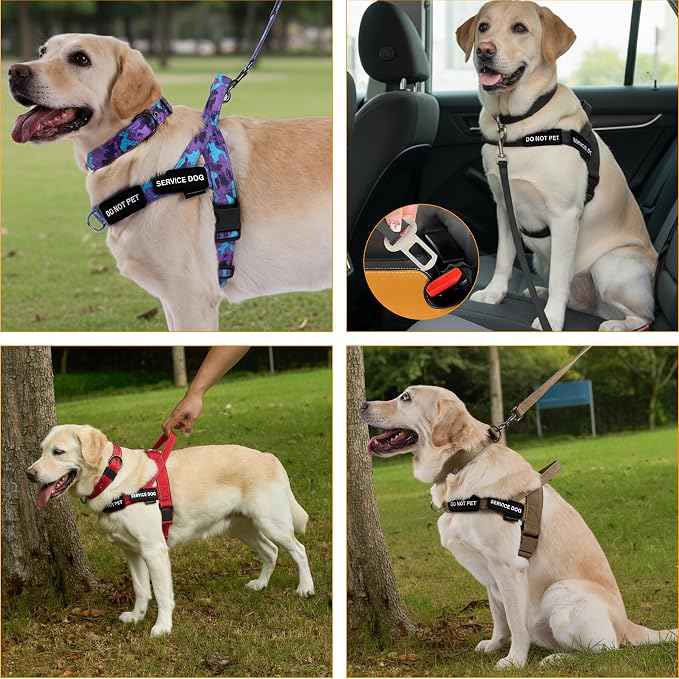 Annchwool No Pull Dog Harness,Heavy Duty Collar & Leash Set-Leash with Double Handle & Car Seatbelt Clip-Easy Control for Walking Training Medium Large Size Dogs(Camo Purple,M)