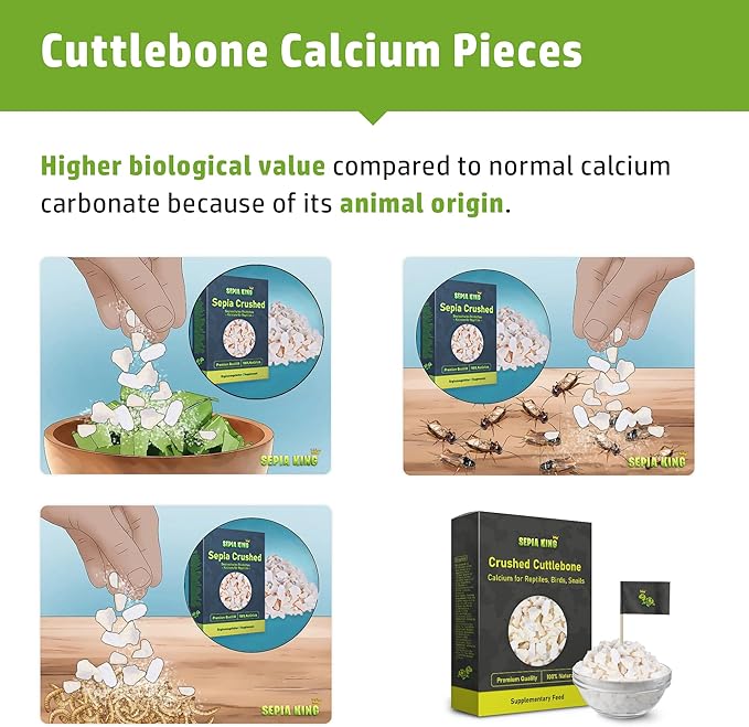 Sepia King - Crushed - 100% Natural Calcium Supplement - Premium Cuttlebone Perfect for Birds, Tortoises, Snails, Reptiles - 3.5 oz