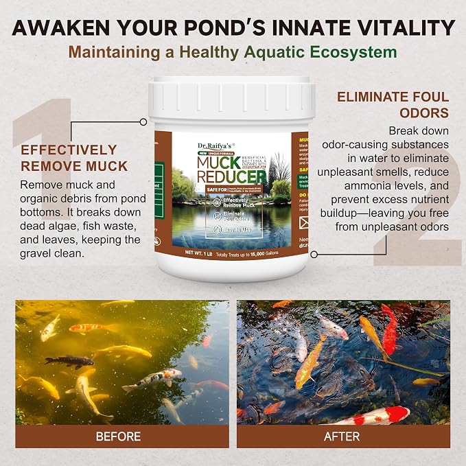 Dr.Raifya's Muck Reducer, Pond Sludge & Water Fountain Clarifier, 1 LB | Beneficial Bacteria for Ponds, Naturally Removes Muck & Controls Odor, Safe for Fish & Wildlife, Easy to Use - 9,000 Granules