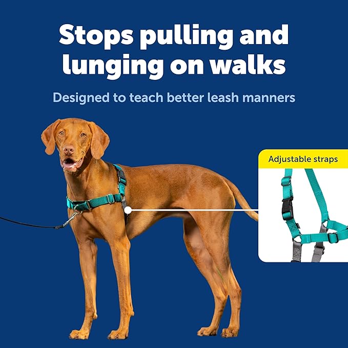PetSafe Easy Walk Harness for Dogs - Pull-Free Walks - Patented Martingale Loop Design - Front Chest Leash Attachment - Comfort Straps - Breathable Harness Design - Medium, Teal/Gray