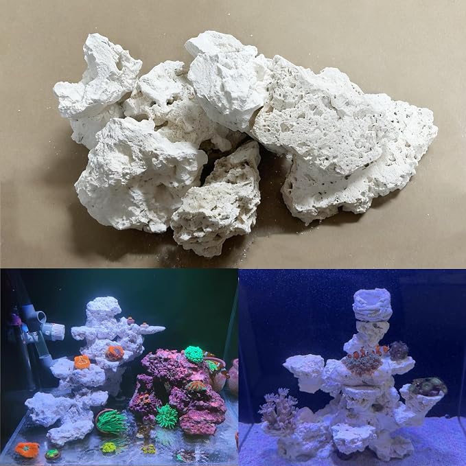 YZHZOM Dry Base Rock for Aquarium White Coral Ornament Sea Base Rocks for Aquarium Aquascaping (7lb,Mix Size & Shape)