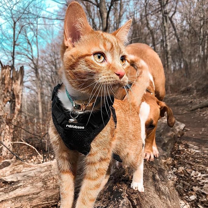 rabbitgoo Cat Harness and Leash for Walking, Escape Proof Soft Adjustable Vest Harnesses for Cats, Easy Control Breathable Reflective Strips Jacket, Black, XS