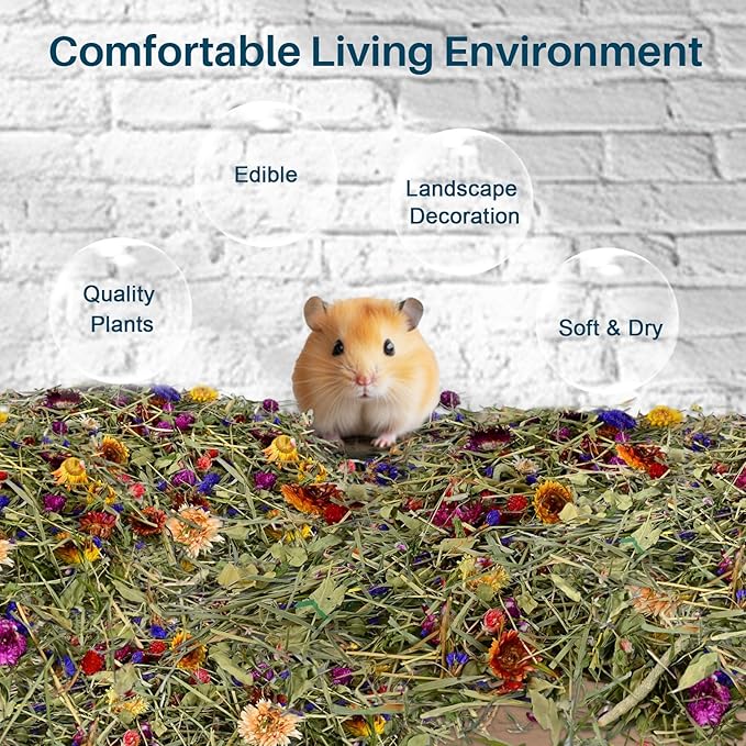 Sukh 150G Hamster Bedding - Flowers & Herbs Odor Control Dwarf Gerbil Robo Katy Habitat Decor Hamster Forage Gerbils Mice Lemmings Degus or Other Small-Sized Pets