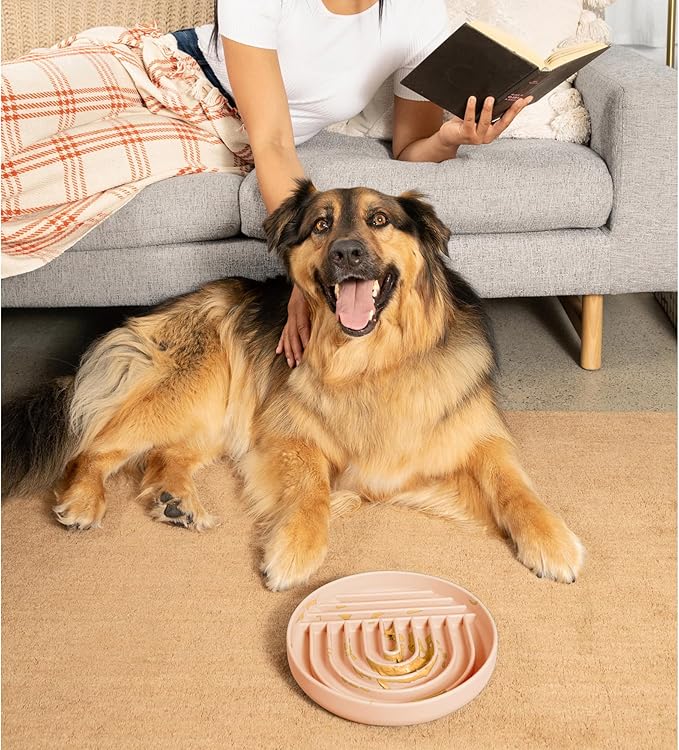 Should We Go? Slow Feeder for Dogs & Puppies, The Slowdown Bowl Silicone Slow Eating, Modern Lick Mat Design, Reduces Gulping, Fits 2.5 Cups, 9.5” Across x 1.5” Tall, Mealtime Challenge, Large-Blush