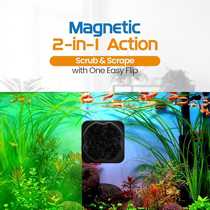 FL!PPER Flipper Pico 2 in 1 Magnetic Algae Scrubber Scraper Aquarium Fish Tank Cleaner - Black