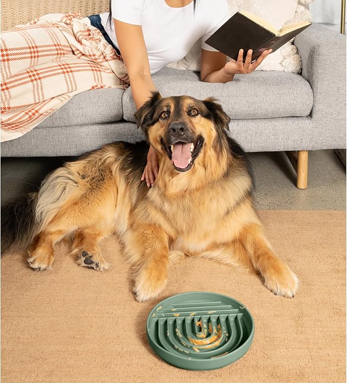 Should We Go? Slow Feeder for Dogs & Puppies, The Slowdown Bowl Silicone Slow Eating, Modern Lick Mat Design, Reduces Gulping, Fits 2.5 Cups, 9.5” Across x 1.5” Tall, Mealtime Challenge, Large-Spruce