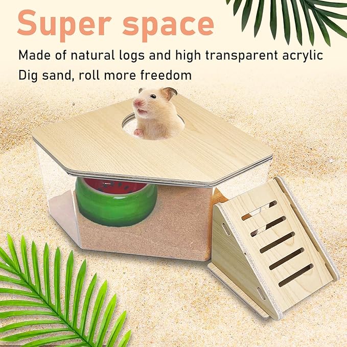 PINVNBY Hamster Sand Bath Box, Transparent Acrylic Sand Bath Shower, Gerbils Digging Room Container with Climbing Ladder and Ceramic Bowl, Litter Box for Hamsters Guinea Pigs Mice (Triangle)