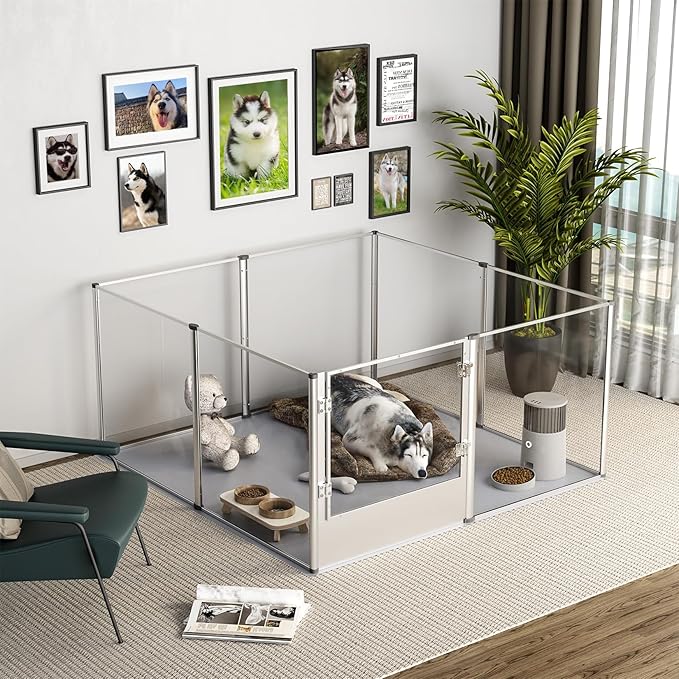 BingoPaw Clear Dog Playpen Fence: 32” Extra Tall Indoor Doggy Acrylic Pen Made by Metal Frame - 52”x52” Transparent Pet Whelping Box with Waterproof Bottom