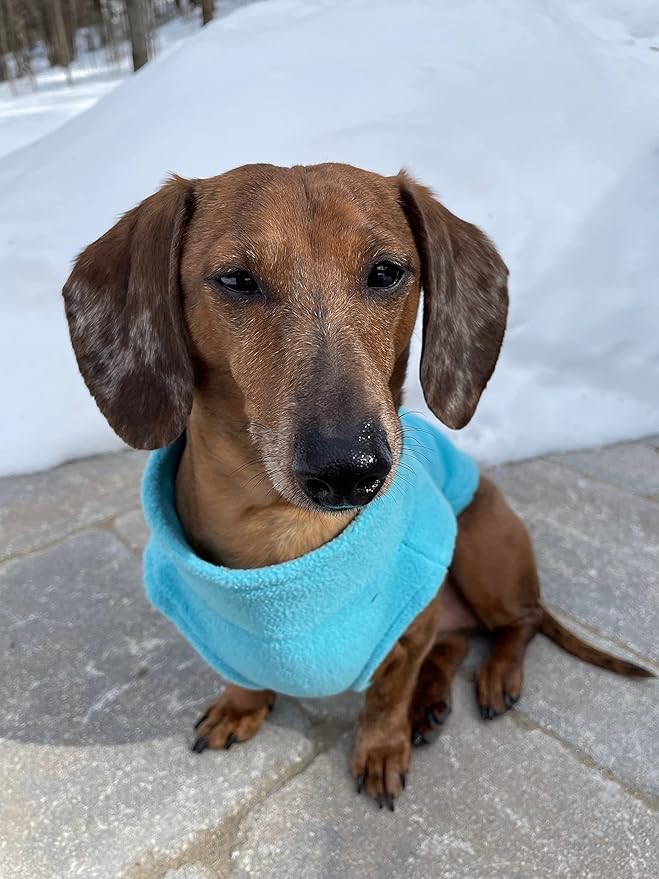 Gooby - Zip Up Fleece Vest, Fleece Jacket Sweater with Zipper Closure and Leash Ring, Turquoise, Medium