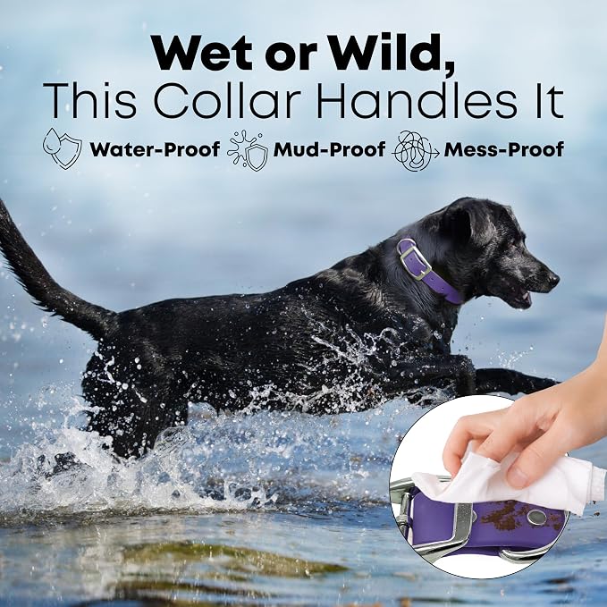 Regal Dog Products Small Purple Dog Collar with Heavy Duty Double Buckle & D Ring | Vinyl Coated, Custom Fit, Adjustable Biothane Dog Collar | Chew Resistant Waterproof Collar for Dogs