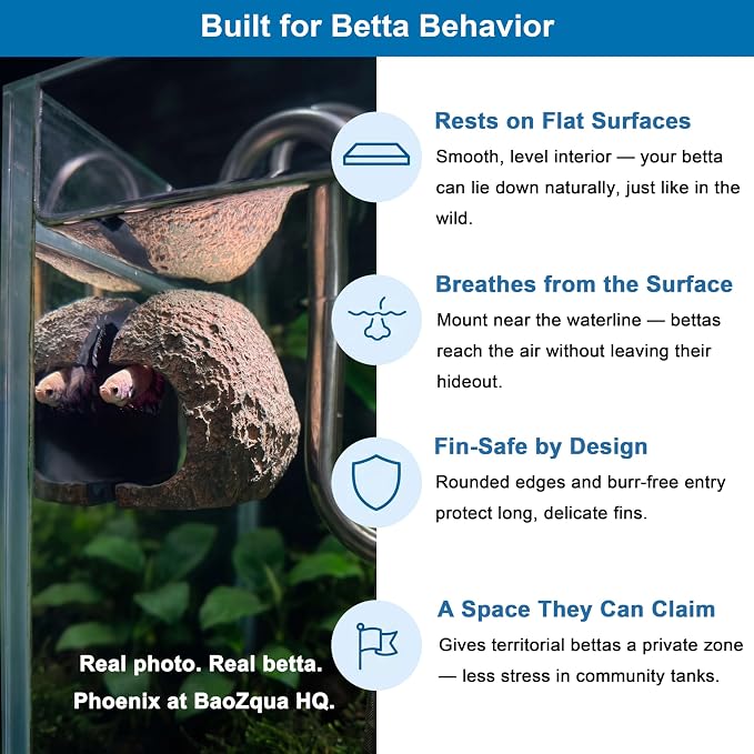 Magnetic Rock Aquarium Cave, Betta Fish Hideout & Fish Tank Decor | Fits glass or acrylic up to 0.5 in, dark interior hiding spot for shy pleco, cichlid, small fish and geckos, wipes clean