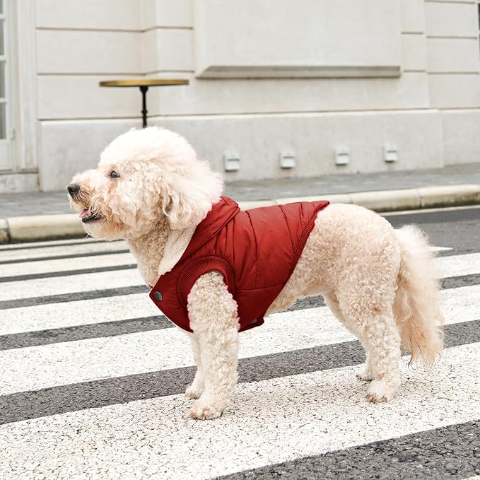 Vecomfy Fleece Lining Extra Warm Dog Hoodie in Winter for Small Dogs Jacket Puppy Coats with Hooded,Red M