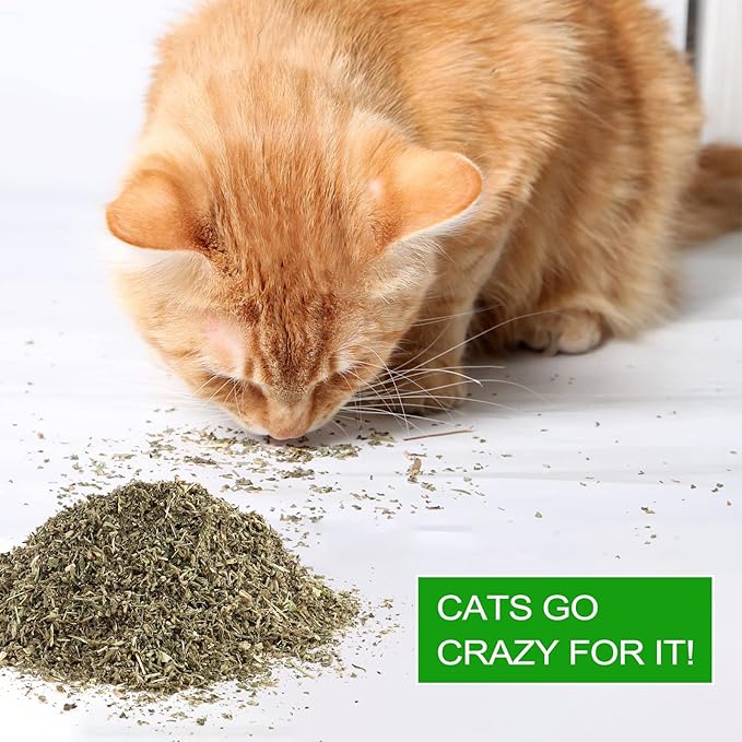 Dried Catnip, Natural Catmint, Used as a Snack or Filling Cat Toy, Delicately Dried and Sealed and Packaged for Easy Preservation (50g)
