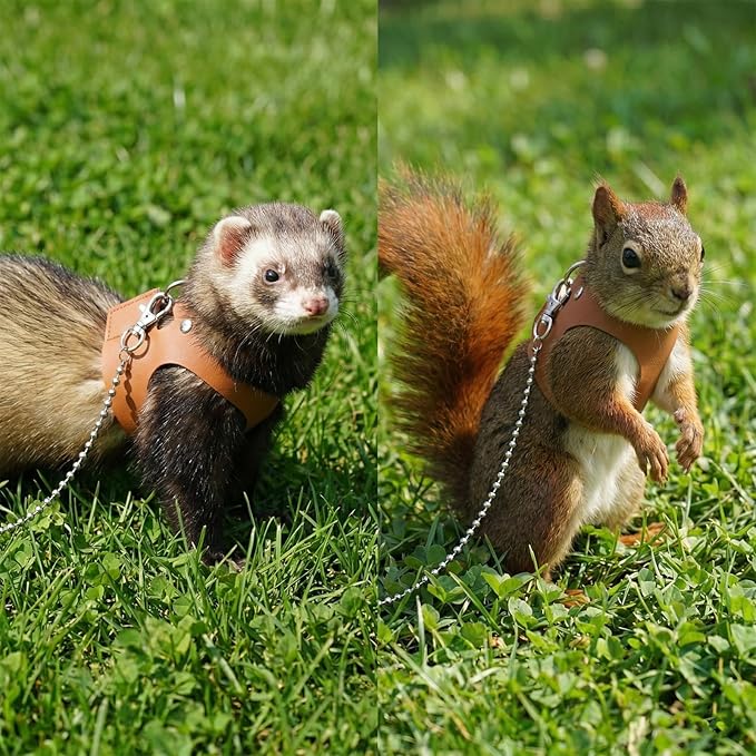 3 Pack Bearded Dragon Leash and Harness Set Adjustable Soft Leather Small Animal Harness Leash Traction Rope for Small Pet Walk Jogging Bearded Dragon Reptile Squirrel Rat
