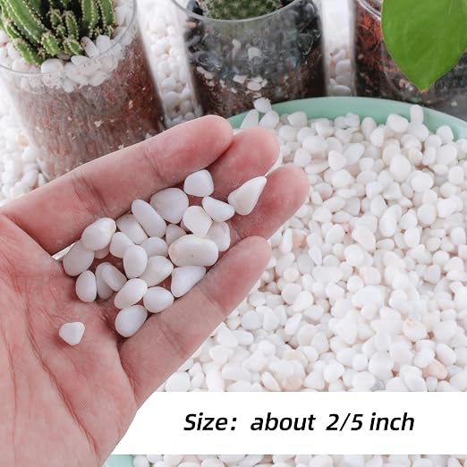 CJGQ 1/4" Small White Rocks for Plants,Potting,Succulents Aquarium Fish Tank Garden Vases Decorative Pebbles Gravel Rocks Stones 45lb