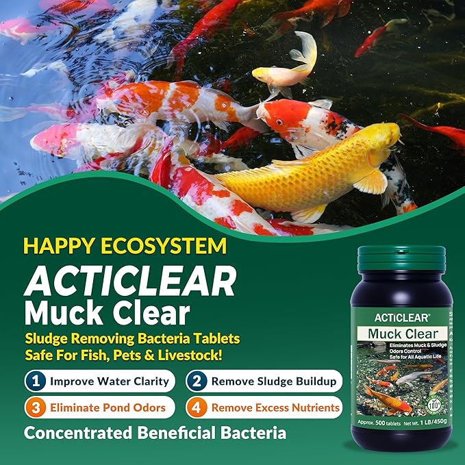 Muck Clear – Natural Pond Sludge Treatment, 4 LB for Ponds, Fountains & Bird Baths, Beneficial Bacteria & Enzymes, Chemical-Free & Safe for Fish, Pets & Wildlife