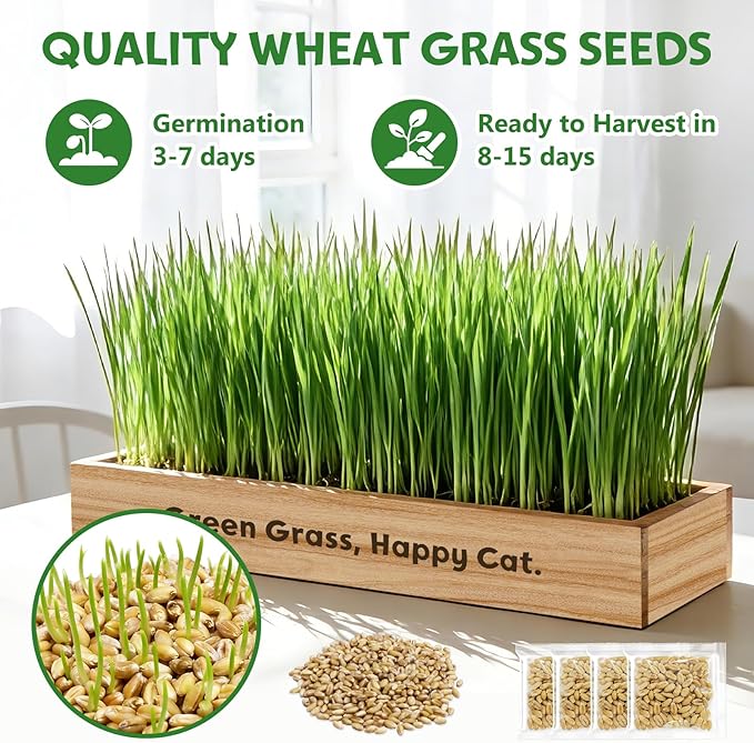 LUOJIBIE Cat Grass Kit for Indoor Cats, Cat Grass Seeds Set, Non-GMO Wheat Grass, Mother' s Day Gifts for Mom, Unique Christmas Birthday Gifts for Women Men Girl, House Warming Gifts for Cat Lover