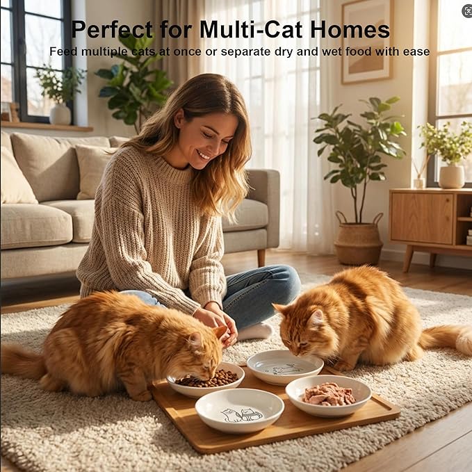 6 Pack Ceramic Cat Bowls, Shallow Cat Food Bowls Set with Non-Slip Silicone Base, Dishwasher Safe Small Pet Bowls for Cats & Kittens (Classic cat Elements)
