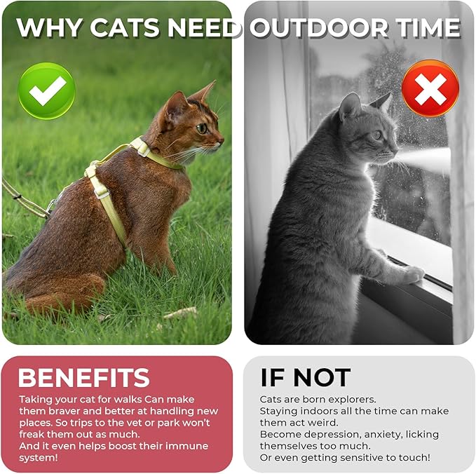 Cat Harness and Leash Set - Red Lightweight Soft Kitten Harness Escape Proof, Adjustable Travel Pet Harness for Walking，Easy Control Comfortable Outdoor (Red, One Size Fits All)