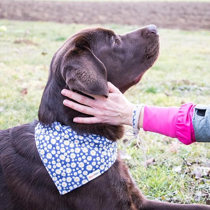 Pettsie Hemp Dog Bandana Collar & Matching Owner Friendship Bracelet | Matching Friendship Bracelet, Adjustable, Durable Hemp, Soft & Comfortable, Secure D-Ring, Blue