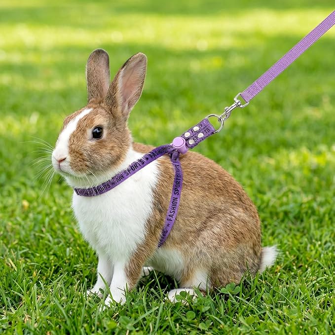 Ferret Harness and Leash Set, Adjustable Guinea Pig Small Pet Animals Comfort Vest Soft No Pulling Walking Clothes for Baby Rabbit Bunny Teacup Mouse Rats Hamster Kitten Puppy Chinchilla