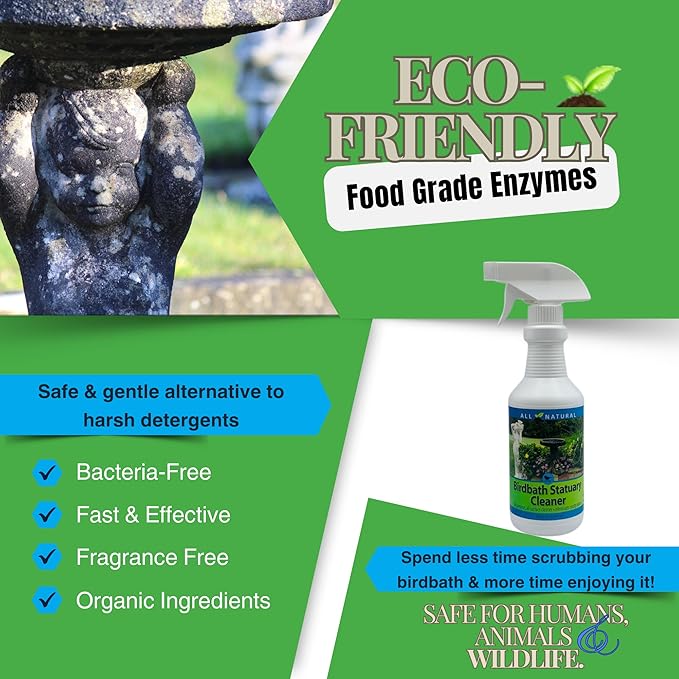 CareFree 98510 Birdbath and Statuary Cleaner, 16-Ounce