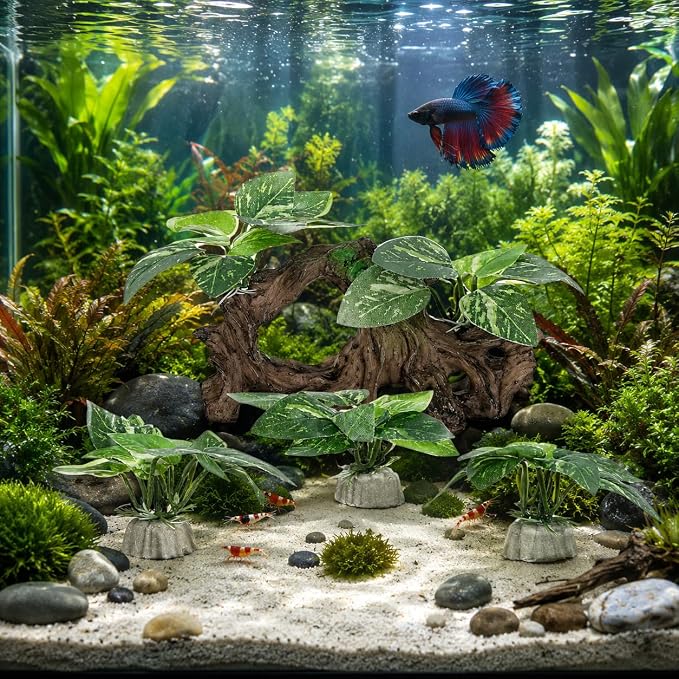 Garneck 4pcs Betta Fish Tank Decor: Driftwood Aquarium Ornament Hideout Cave Shelter Freshwater Realistic Resin Decoration Hiding Spaces Betta Shrimp Habitat Desktop Aquarium Landscaping