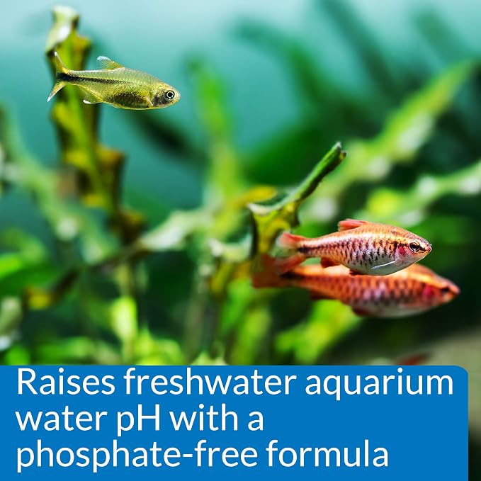API pH UP Freshwater Aquarium Water pH Raising Solution for Fish,4-Ounce Bottle, Brown (Pack of 12)