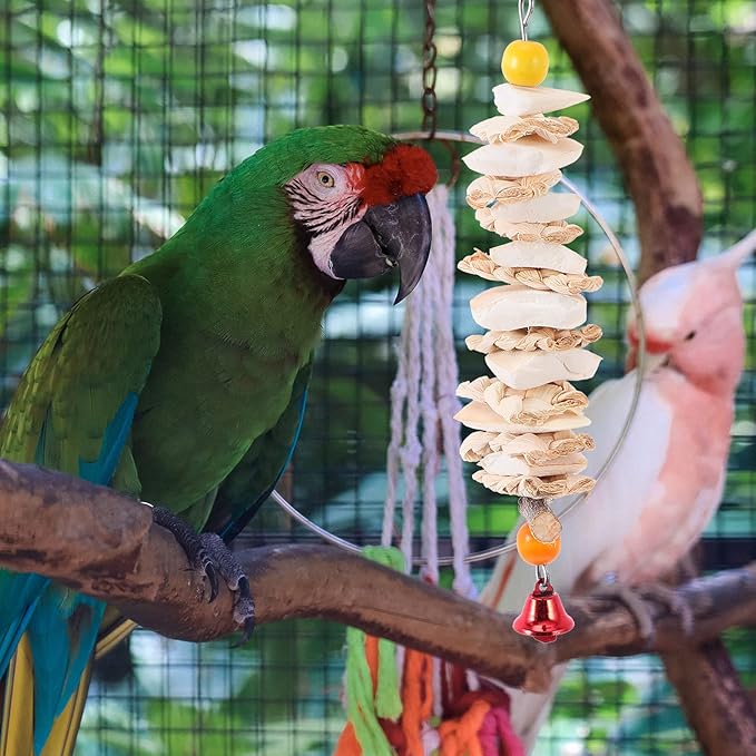 balacoo Parrot Bite Toy Hanging Cuttlebone Chew Calcium Molar String for Small Birds Pet Training and Play 9.84X1.77X1.18In
