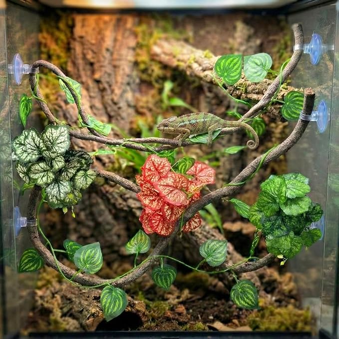 5 Pc Reptile Plants & Habitat Decor Kit - 3 Artificial Plants & Large 3.3ft Jungle Vine Branch, Amphibian Habitat Hideout Decor Accessories for Crested Gecko, Bearded Dragon, Lizard, Snake,Hermit Crab