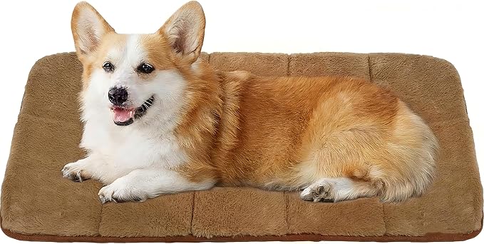 Dog Crate Pad for Medium Dog - 30x20 Memory Foam Dog Bed, Washable & Anti-Slip Dog Bed Mat, Ultra Soft Kennel Pad for Dogs Cozy Sleeping Mat, Khaki