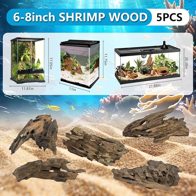 5 Pcs Natural Honeycomb Wood 6-8", Porous Aquarium Driftwood | Cholla Wood Shrimp Shelter Breeding Cave, Shrimp Dragon Wood for Fish Tank, Aquascaping, Reptile, Terrarium Decor