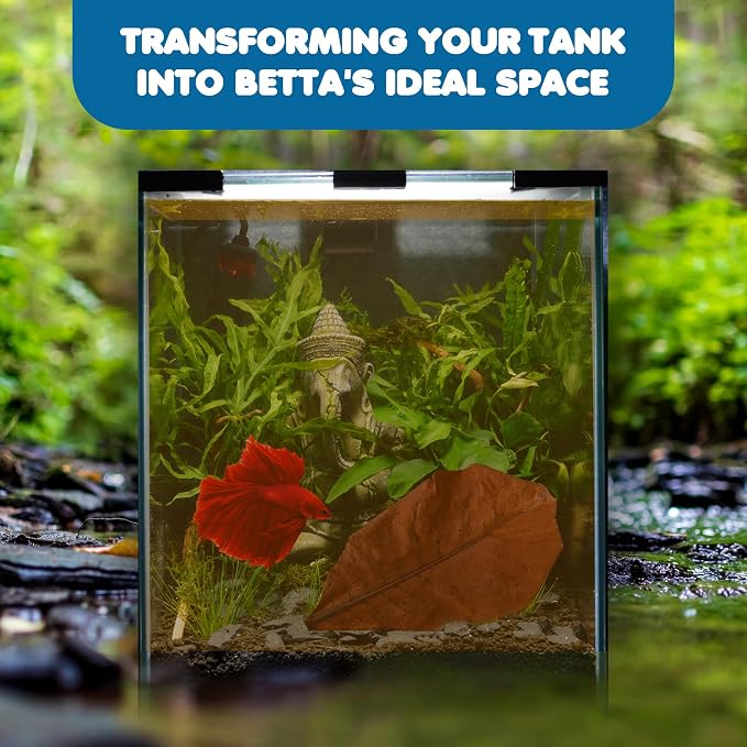 SunGrow Betta Leaves, Beneficial Indian Almond Leaves for Overall Development