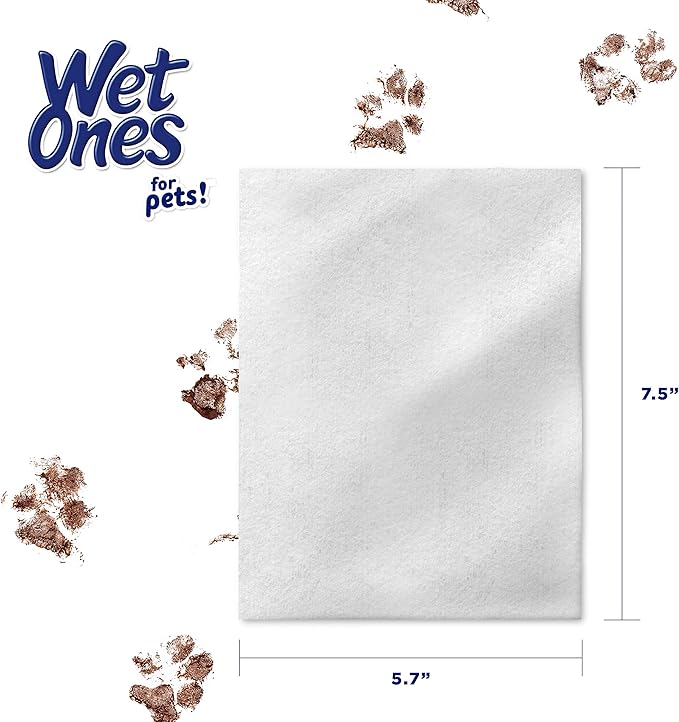 Wet Ones for Pets Multipurpose Dog Wipes with Aloe Vera, Tropical Splash Scent - Pet Bathing Wipes with Wet Lock Seal for Dog Paws and All-Over Use, 100 Count - 12 Pack