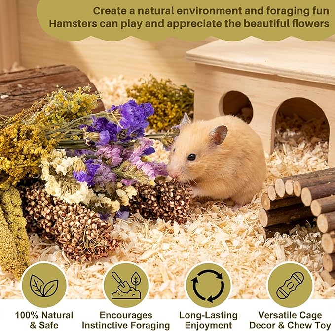 Sukh Natural Hamster Bedding Sprays - Foraging Habitat Decor Cage Accessories, Hideout Enrichment for Dwarf & Syrian Hamsters, Gerbils, Mice and Other Small Animals