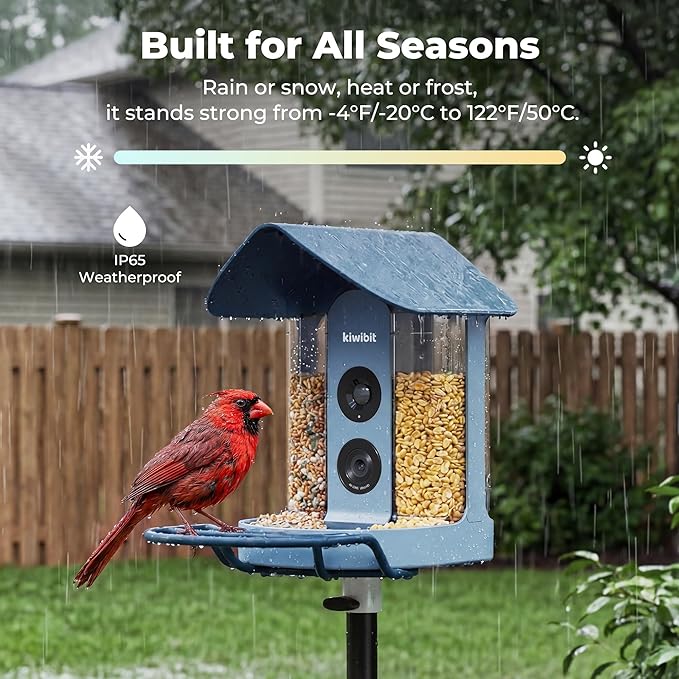 Kiwibit Smart Bird Feeder with Camera, Solar Powered for Outdoors, Bird Species AI Identification, 8MP Photo, 4K Video Livestream, Real-Time Bird Alert, Birdwatching Gifts for Bird Lovers, Bluejay Sky