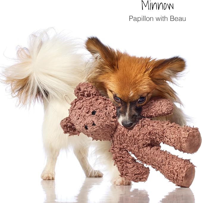 Pet Passion Plush Durable Cotton Dog Toys with Coconut Fill for All Pet Breeds, Bear, One Size