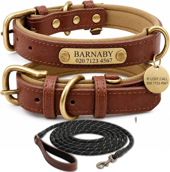 Leather Dog Collar Personalised and Leash Set, Personalized with Soft Padded Design Heavy Duty Featuring Custom Engraved Name Plate for Small Medium and Large Dogs