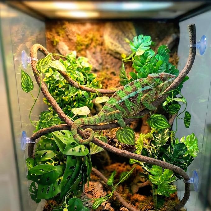5 Pcs Reptile Plants & Habitat Decor Kit - 3 Artificial Plants & Large 5ft Jungle Vine Branch, Amphibian Habitat Hideout Tank Decorations fit Crested Gecko Leopard Lizard Chameleon Ball Python Frog
