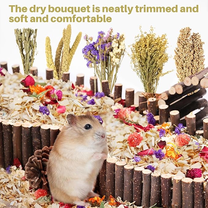 Sukh Natural Hamster Bedding Sprays - Foraging Habitat Decor Cage Accessories, Hideout Enrichment for Dwarf & Syrian Hamsters, Gerbils, Mice and Other Small Animals