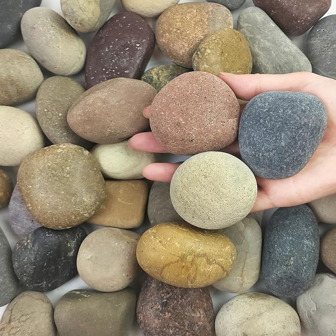 FANTIAN 5 lbs Natural Aquarium Rocks, 2-3 Inch River Rocks for Plant | Large Stones, Decorative Rock Pebbles for Plant, Fish Tank, Garden Paving, Fountain, Walkway, Outdoor Landscaping