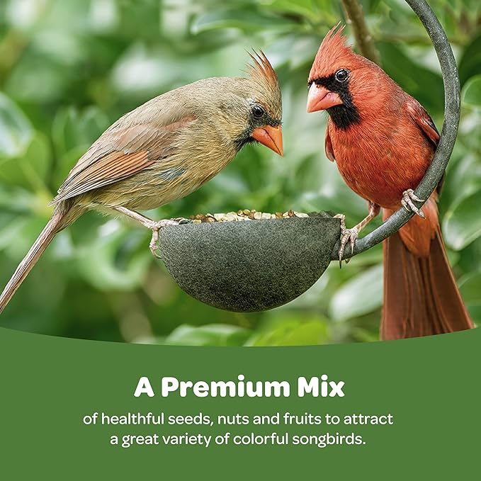 Kaytee Ultimate Birder's Blend Food, Wild Bird Seed For Grosbeaks, Cardinals, Nuthatches, Woodpeckers & More Outside Feeders, 10 Pound