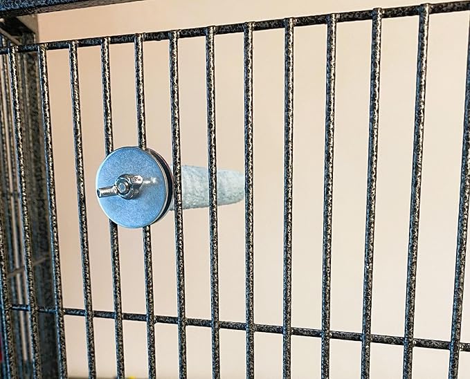 Polly's Pastels Nail Trimming & Beak Conditioning Safety Perch for Cockatiels, Cockatoos, Macaws, Parakeets, Budgies, Parrots and All Other Birds (Blue, Baby medium-3/4 Dia. x 5" Long)